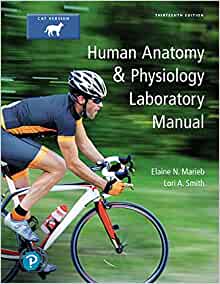 Human Anat.+Phys.Lab.Man.,Cat (Ll) Text