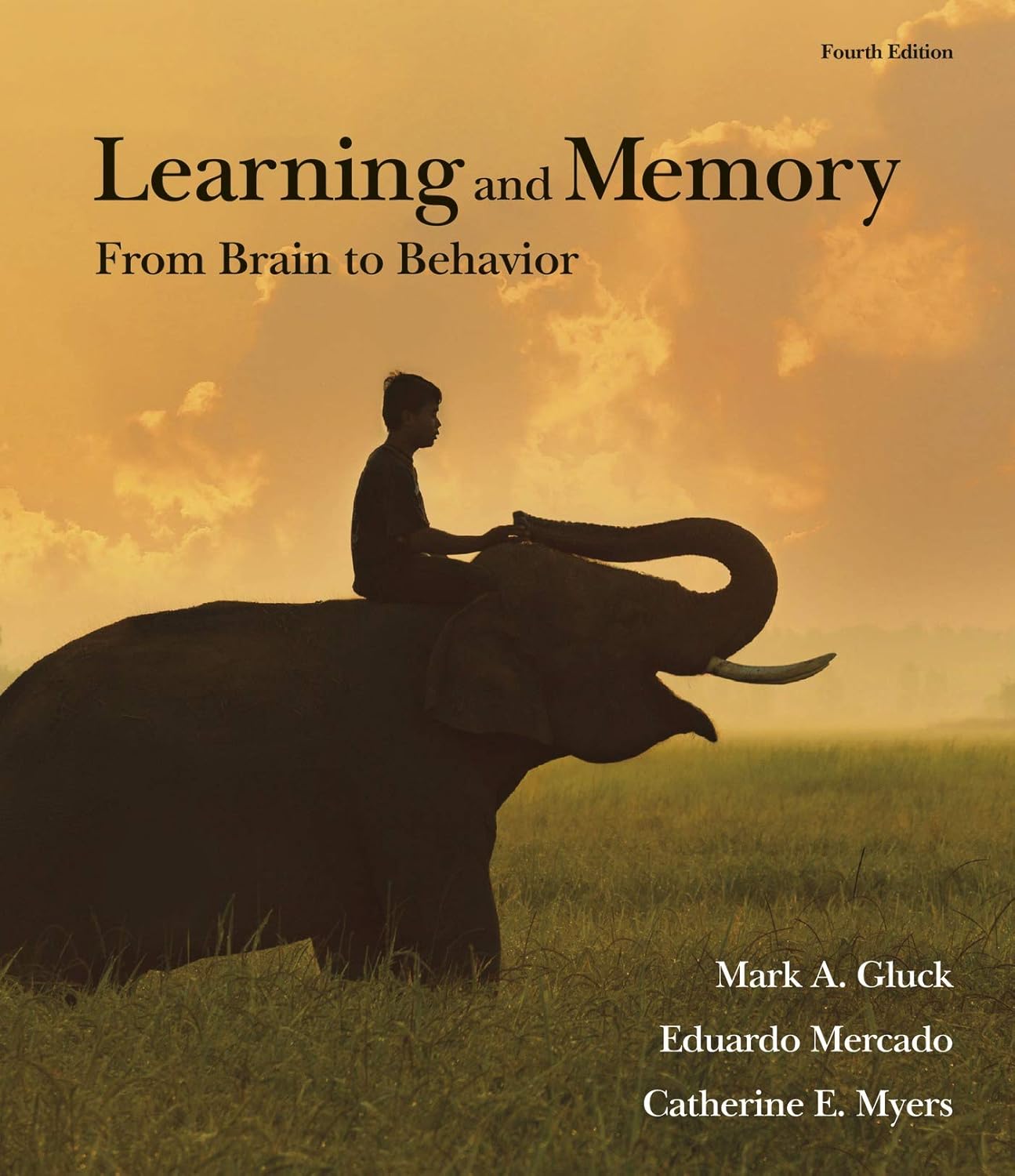 Learning+Memory