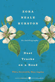 Dust Tracks On A Road