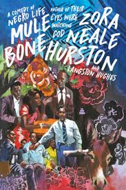 Mule Bone:Comedy Of Negro Life