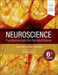 Neuroscience (Day One Access Etextbook)