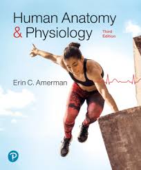 Human Anatomy & Physiology (Day One Access Etextbook)