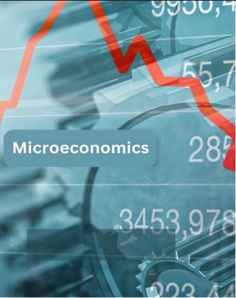 Acc Principles Of Microeconomics