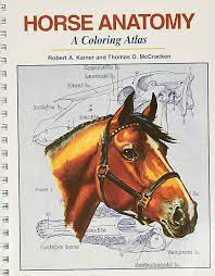 Horse Anatomy:Coloring Atlas