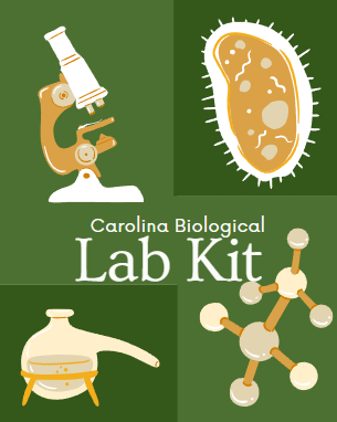 Carolina Labs A&P 2 Kit