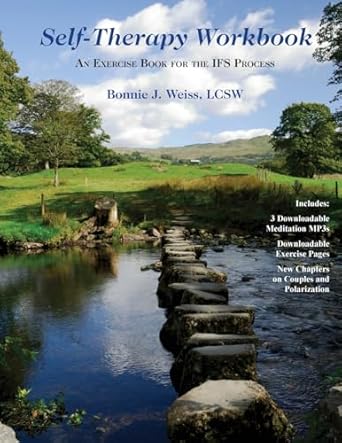 Self Therapy Workbook An Exercise Book For The Ifs Process