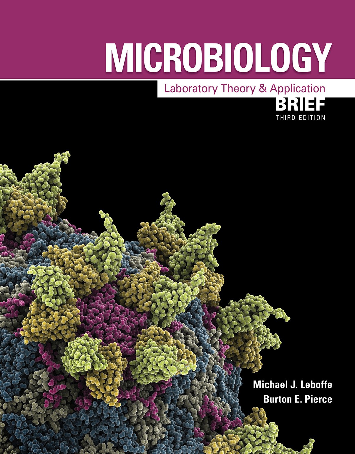 Mbio 2815 Mlta Brief 3 Rd Edition 3 Ed
