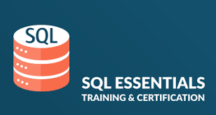 Essentials Of Sql Extracting Data