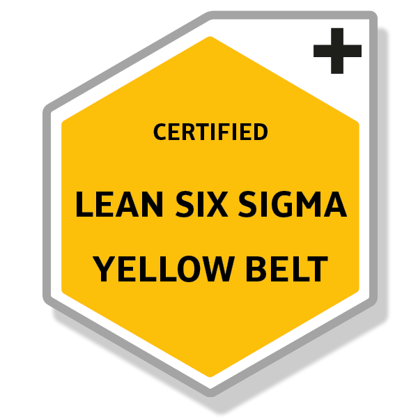 Yellowbelt For Lean Six Sigma
