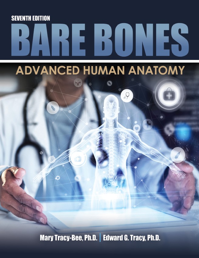 Bare Bones + Flashcards